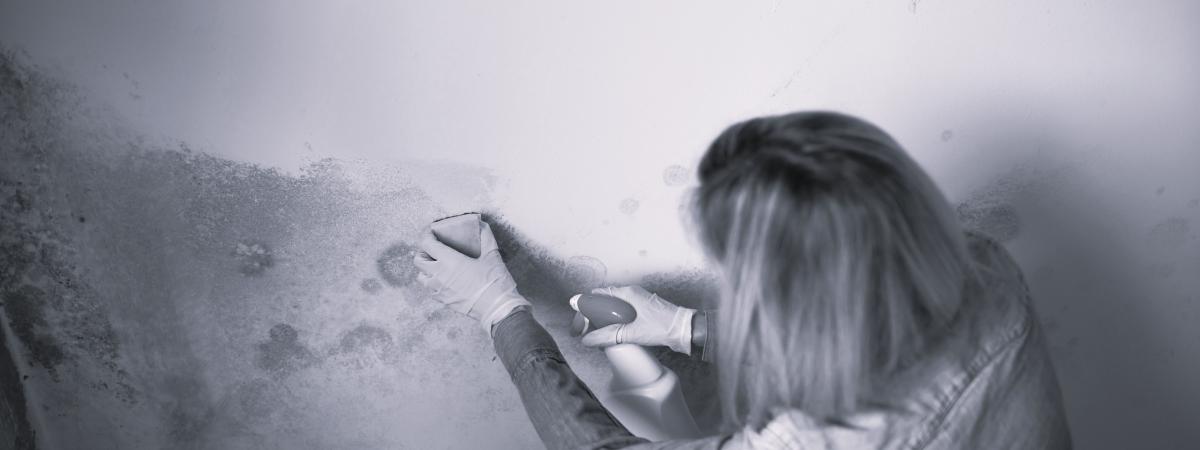 What is Awaab’s Law?